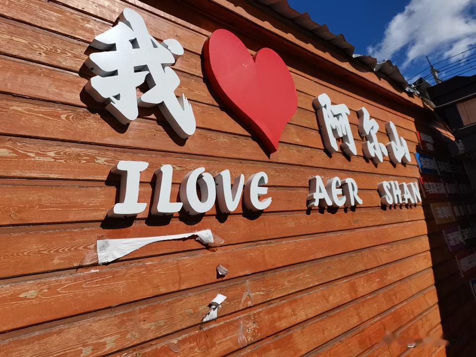 一路沿着 G331 往大兴安岭深处开，越靠近阿尔山，山林的秋味就越浓。
 
不少