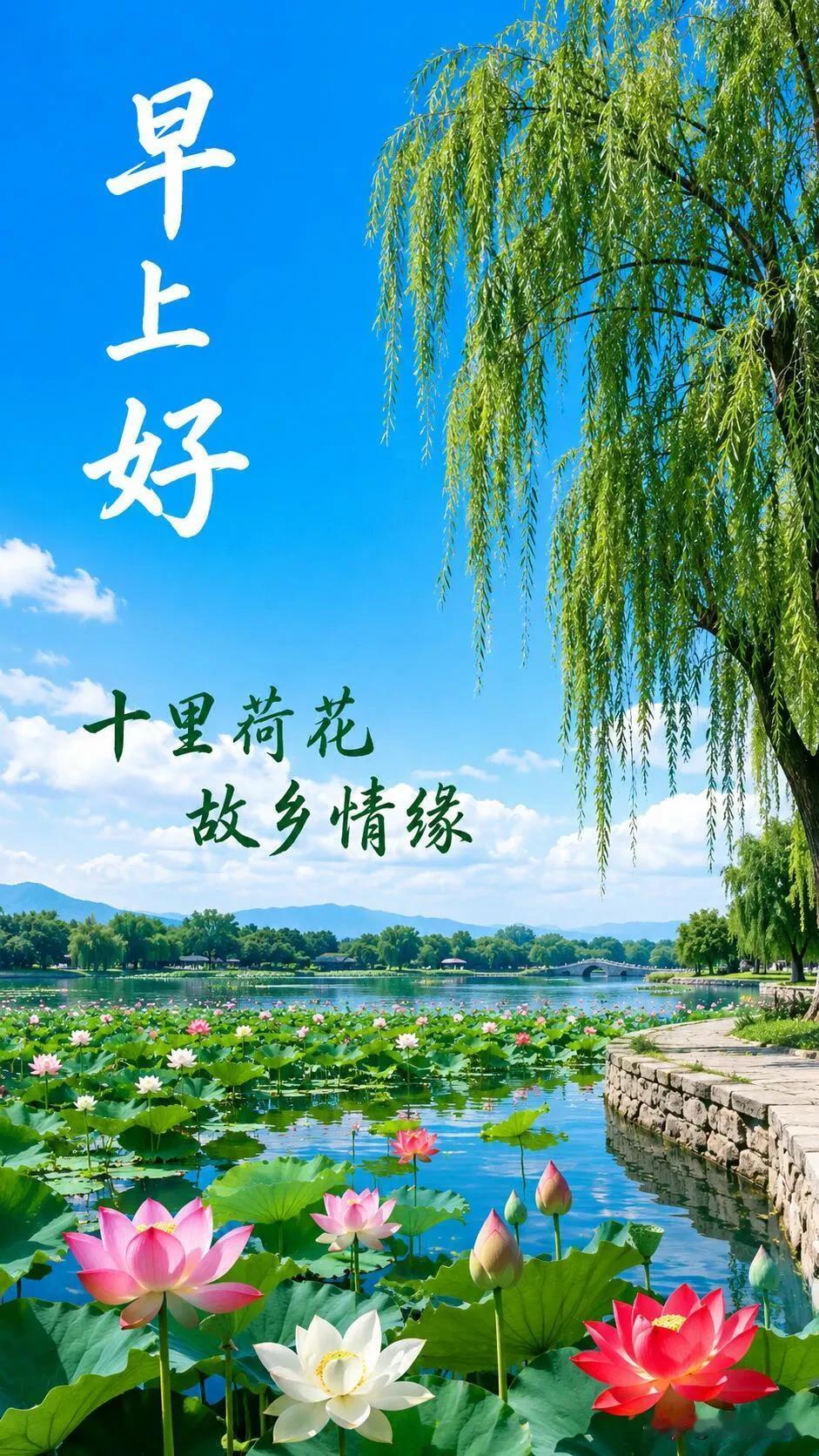  愿今日所有温柔，都奔赴于你，早上好。