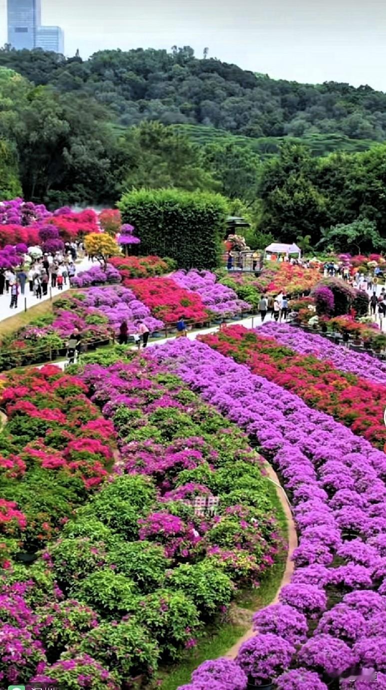 哈哈，这都是经验了。
头条看到一个老男人征婚，还附了张照片。说实在的，这张照片看