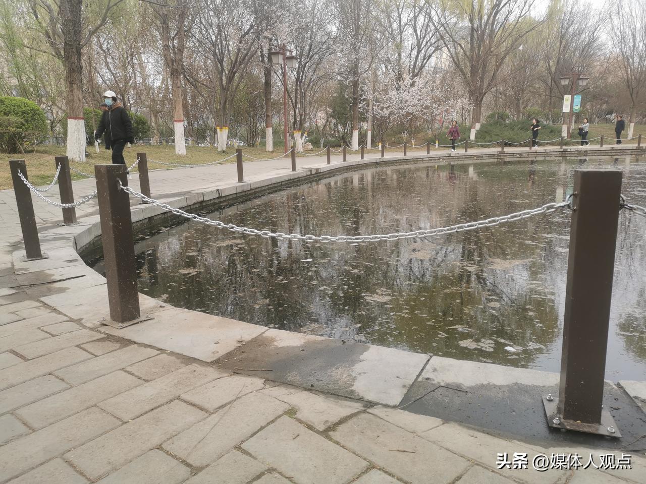 竞秀公园里的人工湖终于安上了这种金属的围栏！过去啊，这个地方没有围栏，晚上从这儿