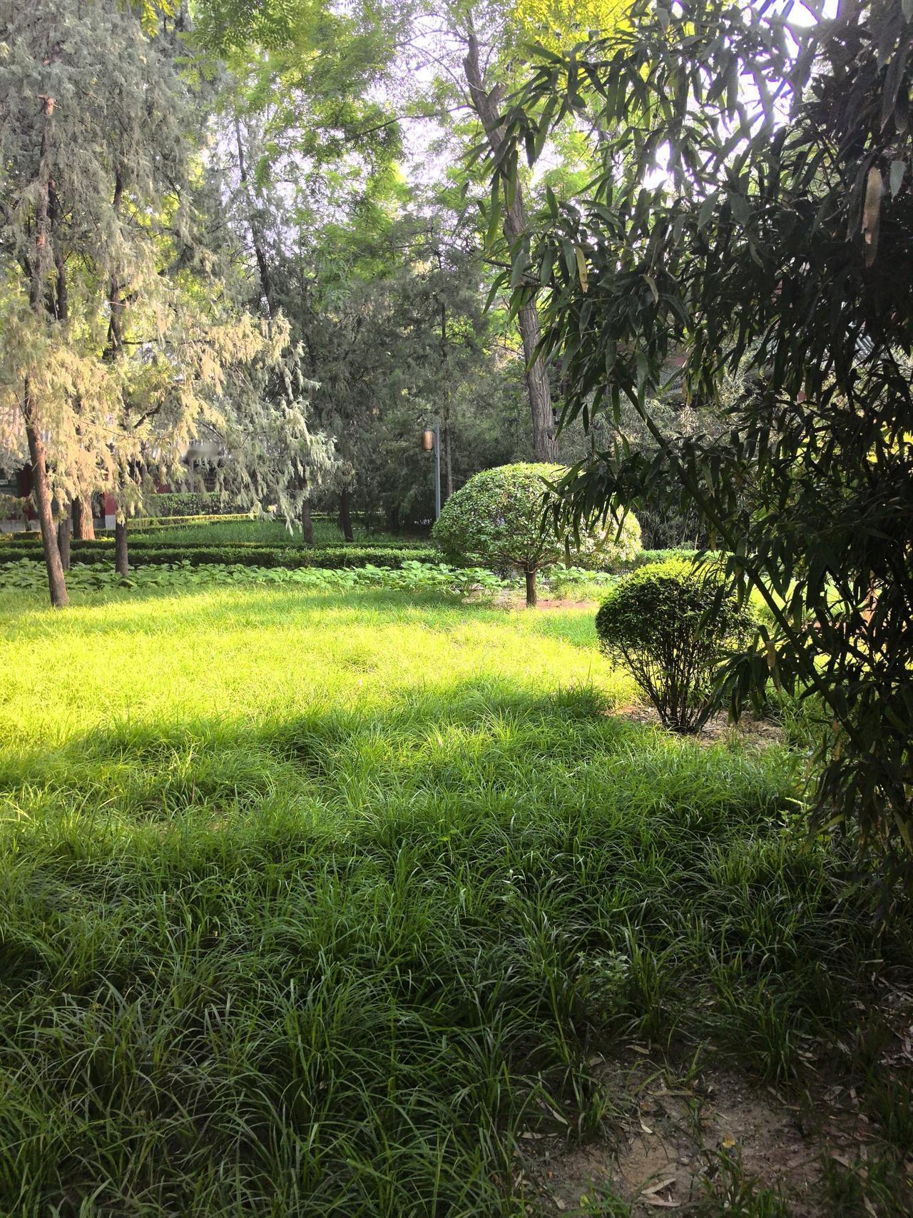 可以分享一张你拍的天空美照吗 分享你手机里拍摄的花朵 天空风景美照