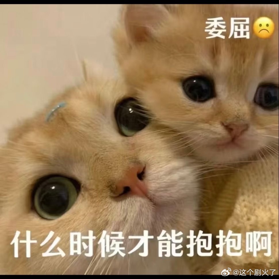 发给蓝朋友表情bao新年迎喜番