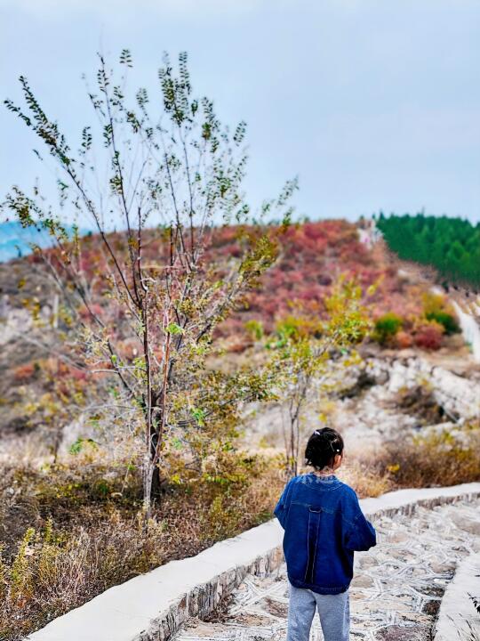 每周一山｜郑州12条亲子徒步路线🎒无门票