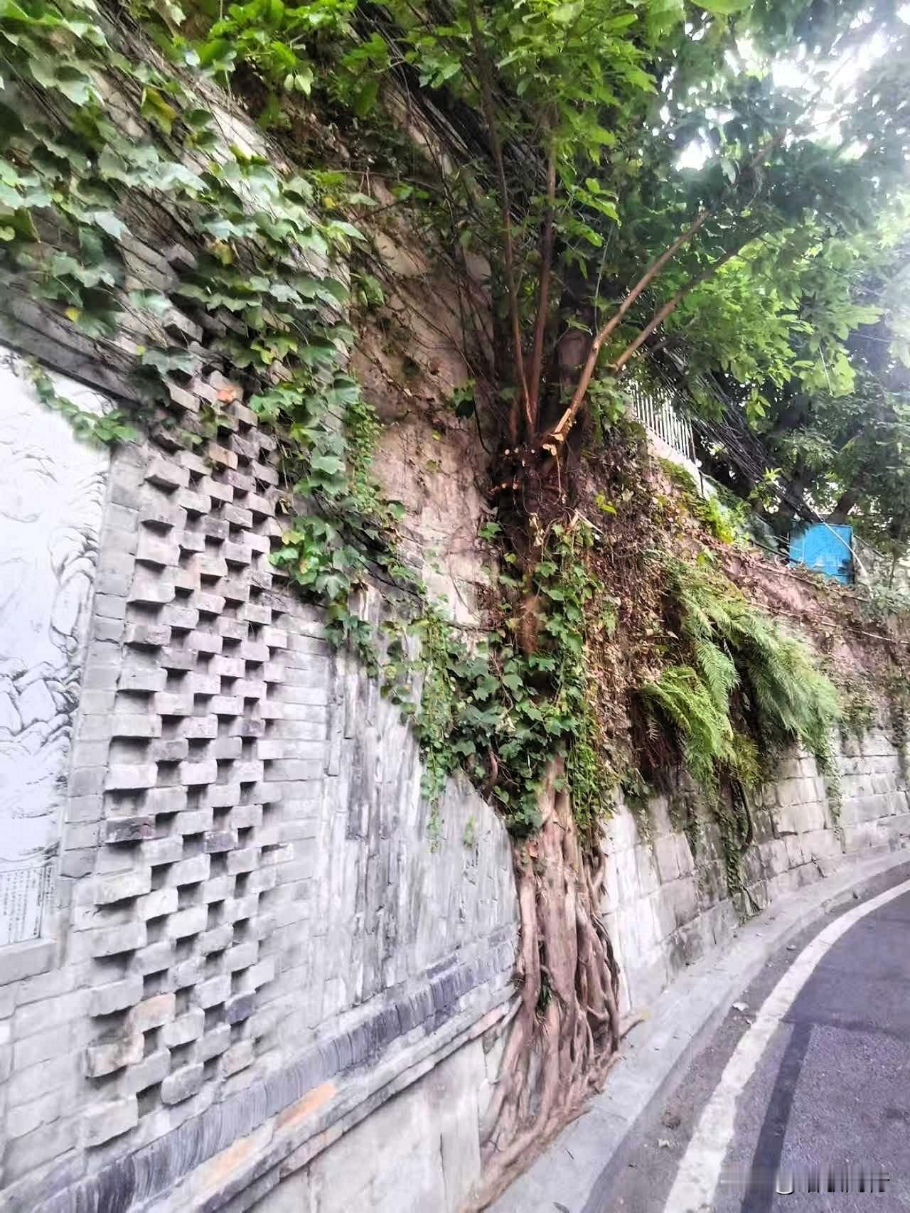 人生如逆旅，时常经风雨。要么学会奔跑，要么学会自己给自己打伞！