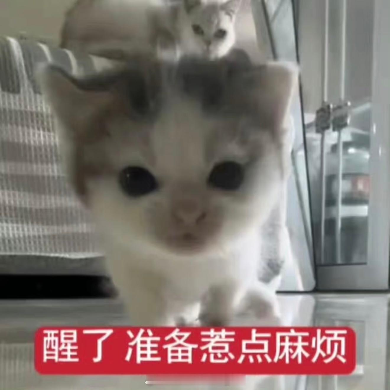 旅行居住 eight 字之黔滇藏～贵州省：喜金水木可去贵阳：喜火土可去六盘水：喜
