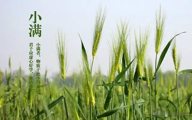 今日小满，意味着收获的季节将来临？
     今日小满，市场涨指数不涨个股，34