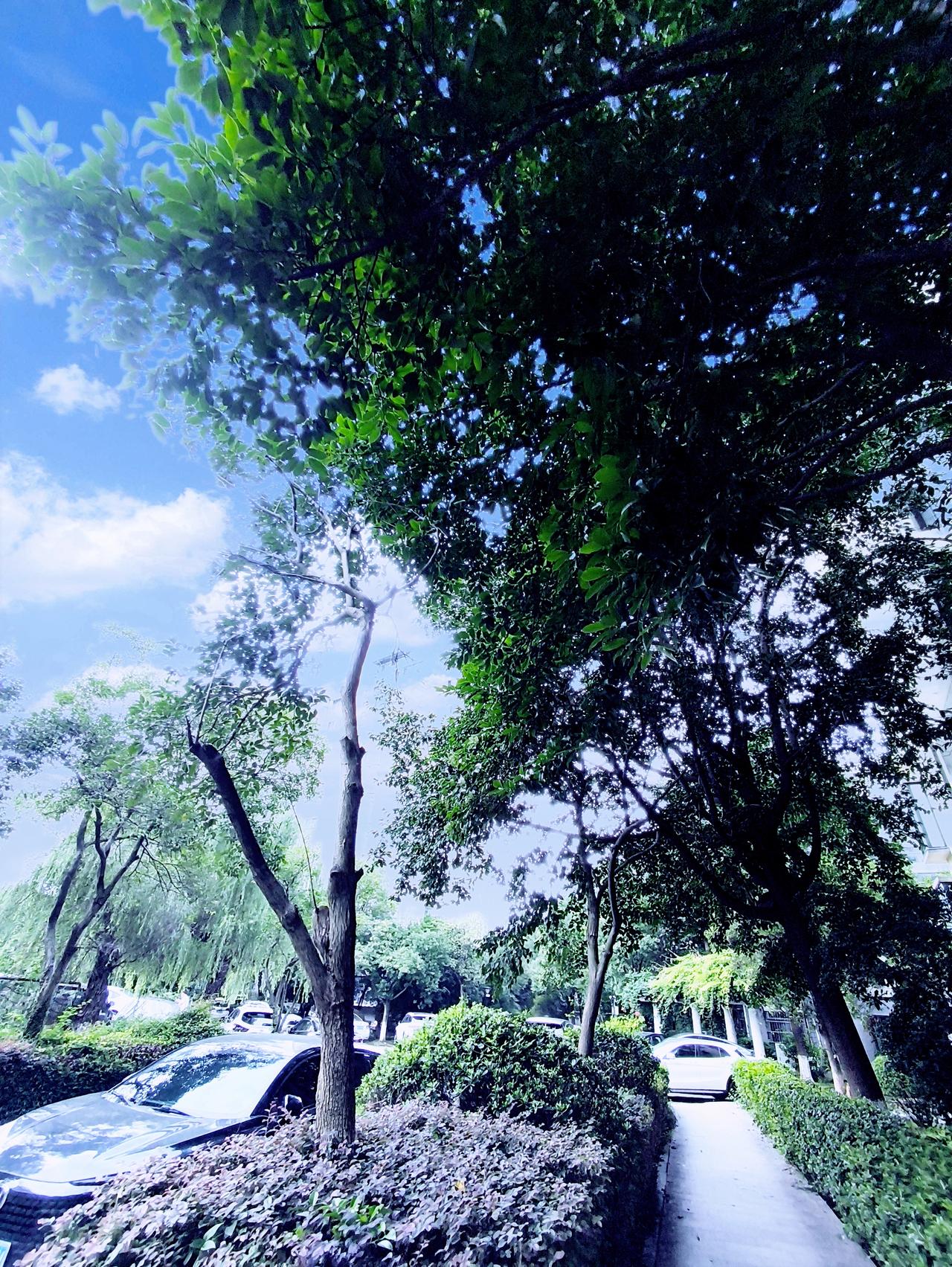 台风“红霞”要来了！目前菲律宾以东的热带扰动，马上就要有大变化。预计24小时内会