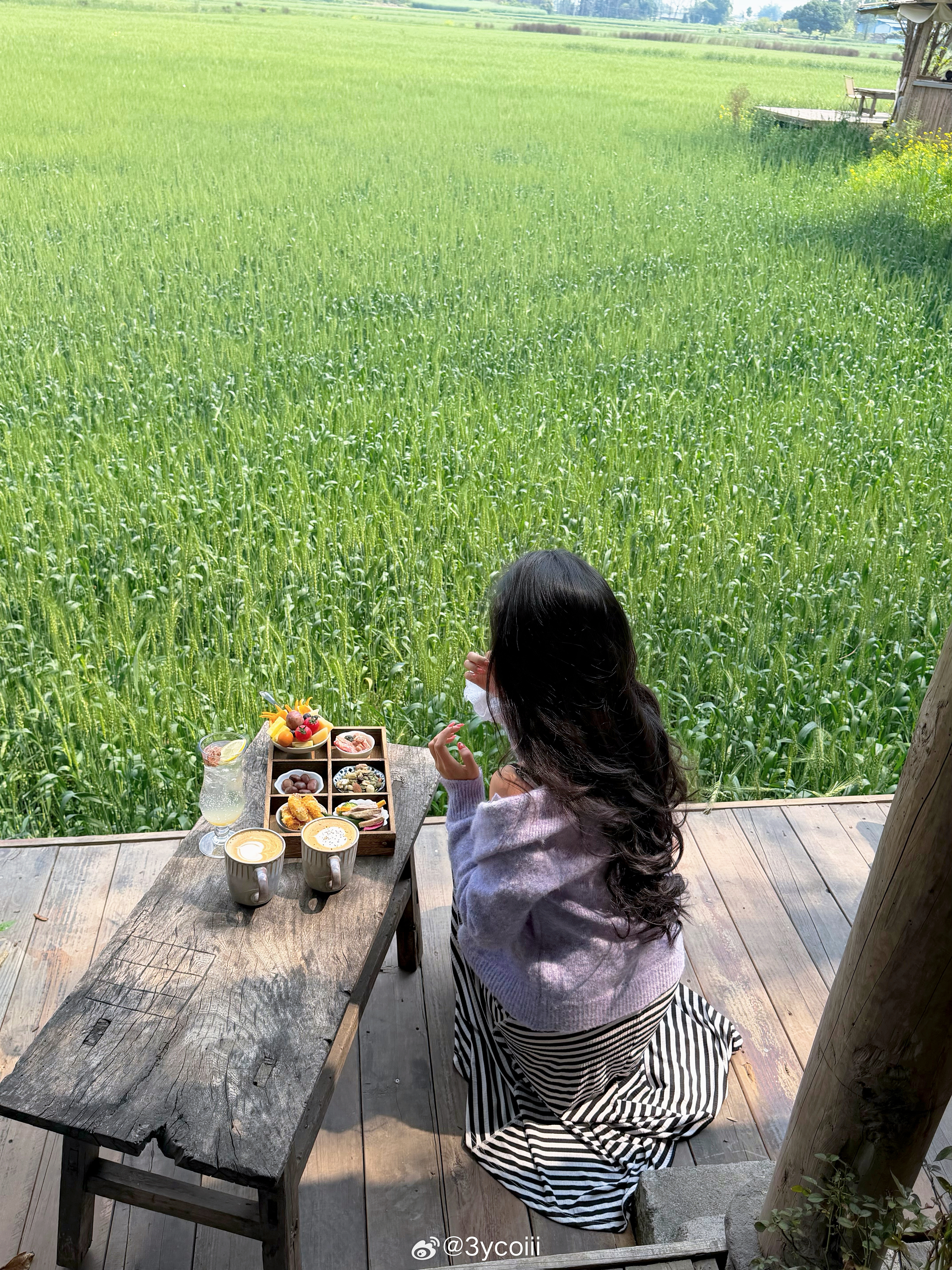 周末的踏青时间🧺 