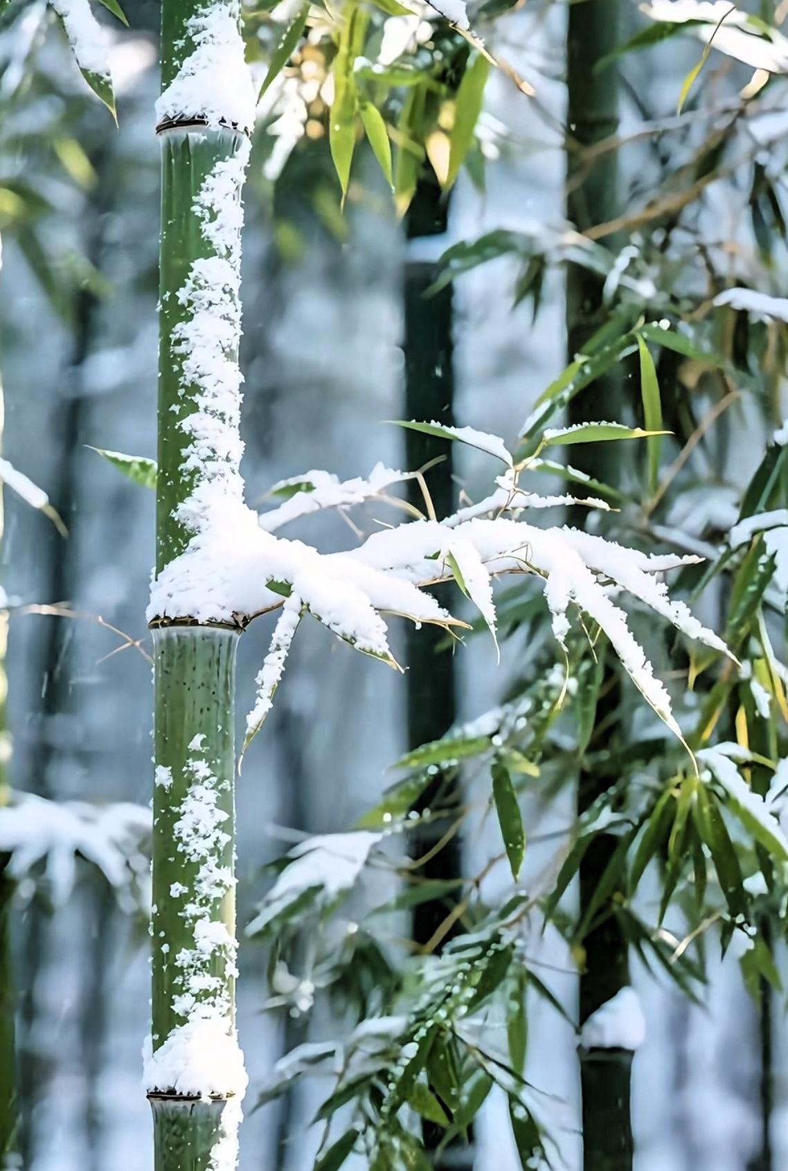 说一个比较扎心的，其实我们很多人，根本活不到80岁。

2025年的死亡数据里，