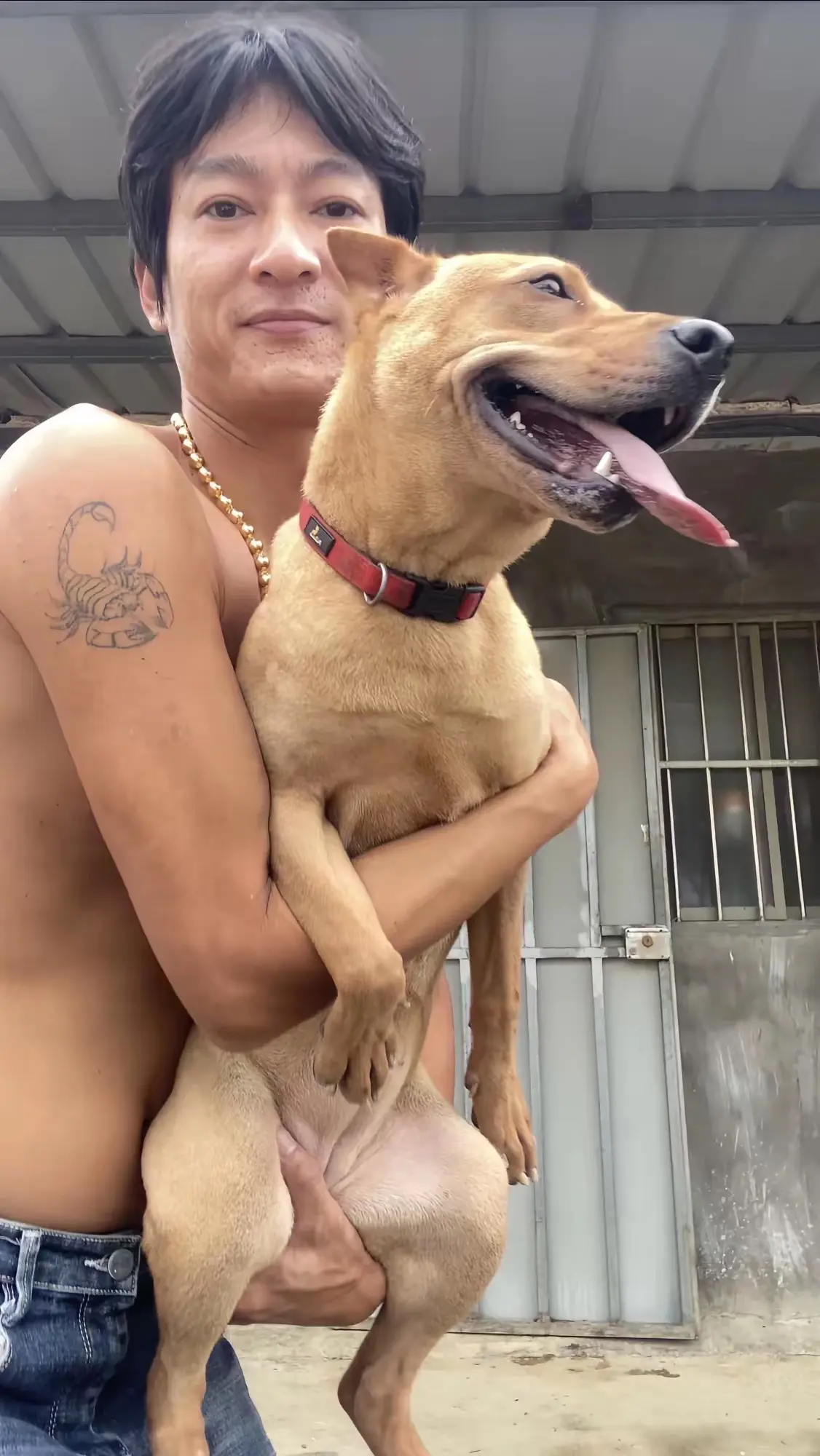 半年前的你与半年后的你成熟了不少。