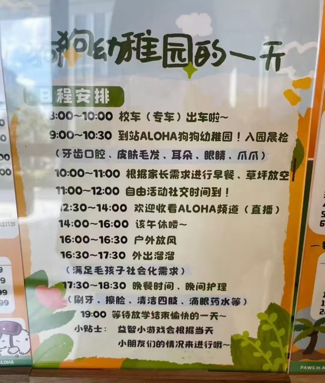 以为内向的狗狗送幼儿园后这年头不仅小朋友要上幼儿园，狗狗也有专属幼稚园了，难怪宠