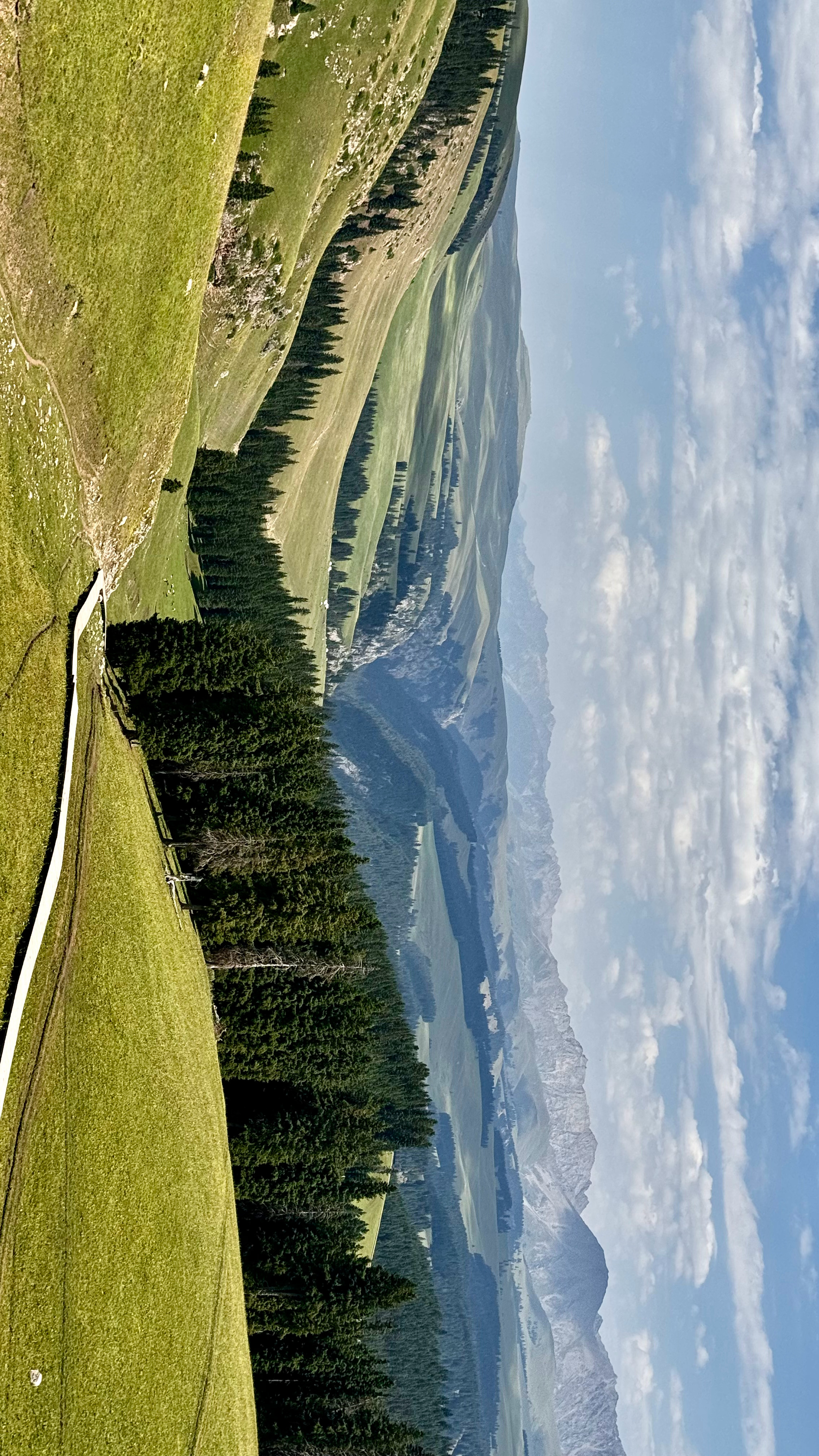 山也好，海也好，草原也好。地球真好。 伊犁·喀拉峻大草原