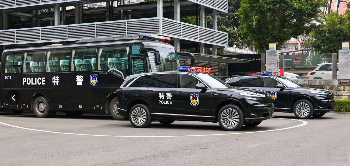 虽然对之前乐道l90 那个黑武士版本不感冒，但这个“皮肤”一放出来，em针不错！