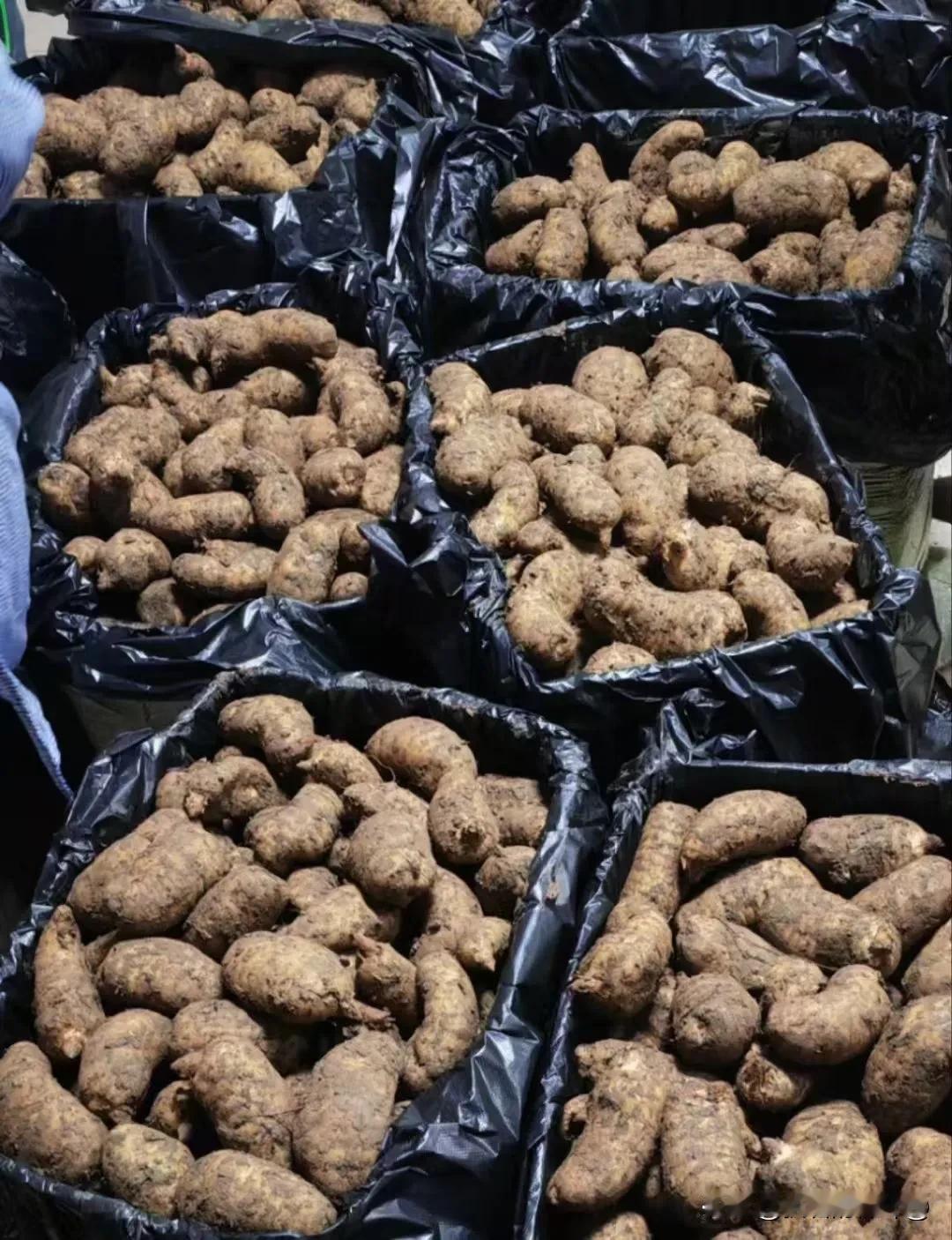 晒一晒手机里的风景照云南天麻美吗