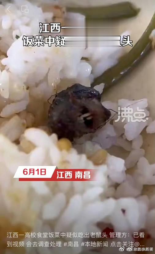 #鼠头还是鸭脖怎么就成了罗生门# 这不是很好辨别吗？请个动物专家到现场就行，再不