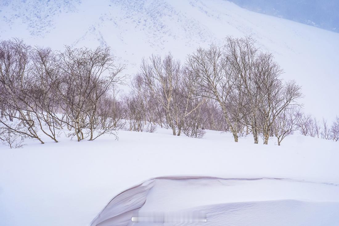 漫步银装素裹的长白山，飞雪纷纷，美景如画幸运如我。 只用一部手机就可以记录下这一