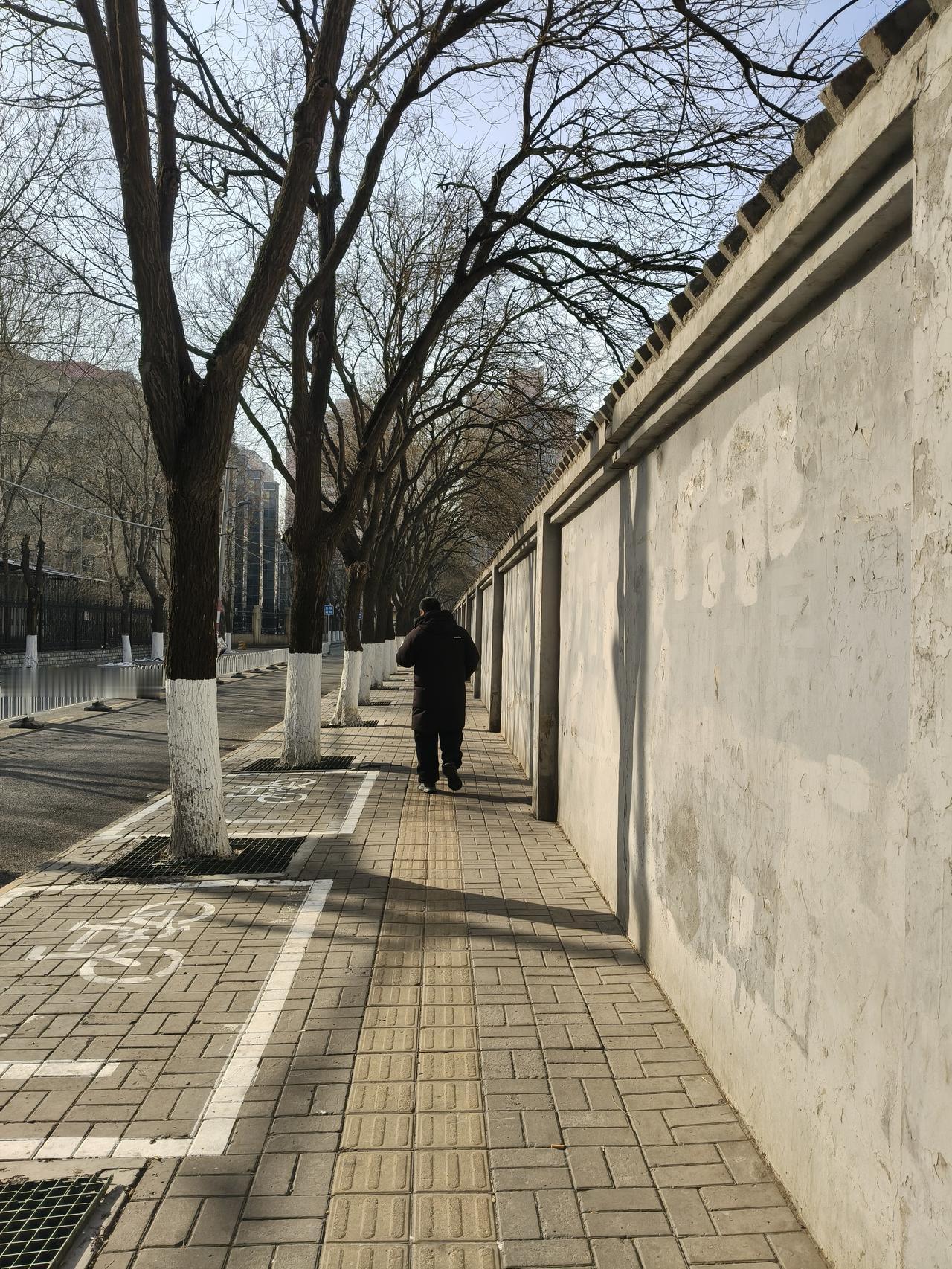 确实像发生在身边的真事儿一样，京京友友分享的姐姐远嫁的故事，情节真切，真的很动人