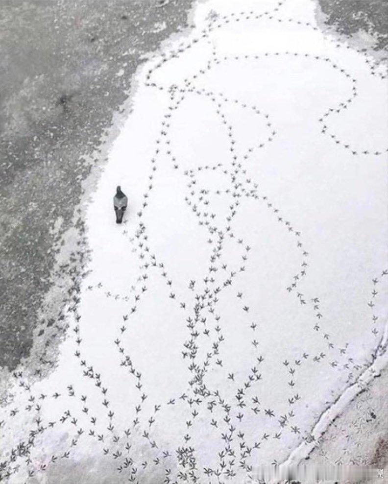 像极了打电话时的你 