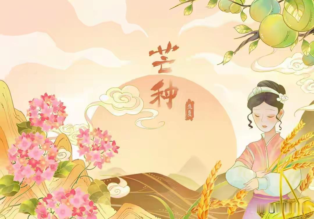 老人那句"三伏热不热，就看芒种"，真不是随口说说。老话讲："芒种大日头，三伏如蒸