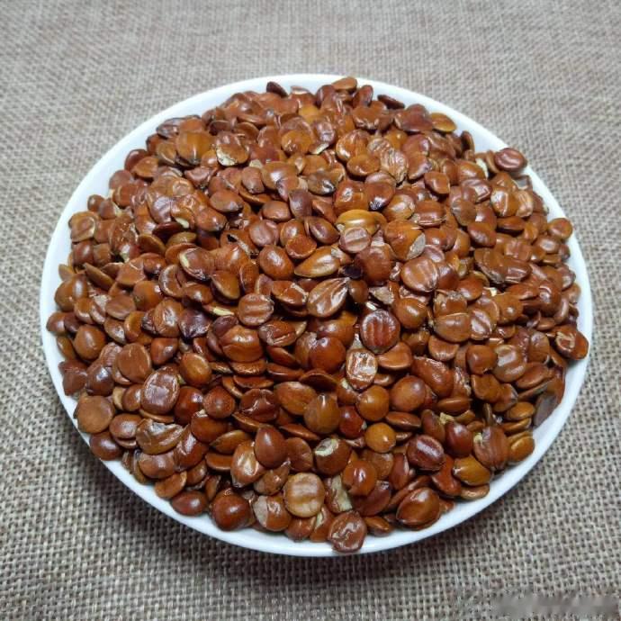 【酸枣仁】#每天一味中草药# 甘酸性温有枣仁，除烦止渴亦生津。宁心敛汗坚筋骨，又