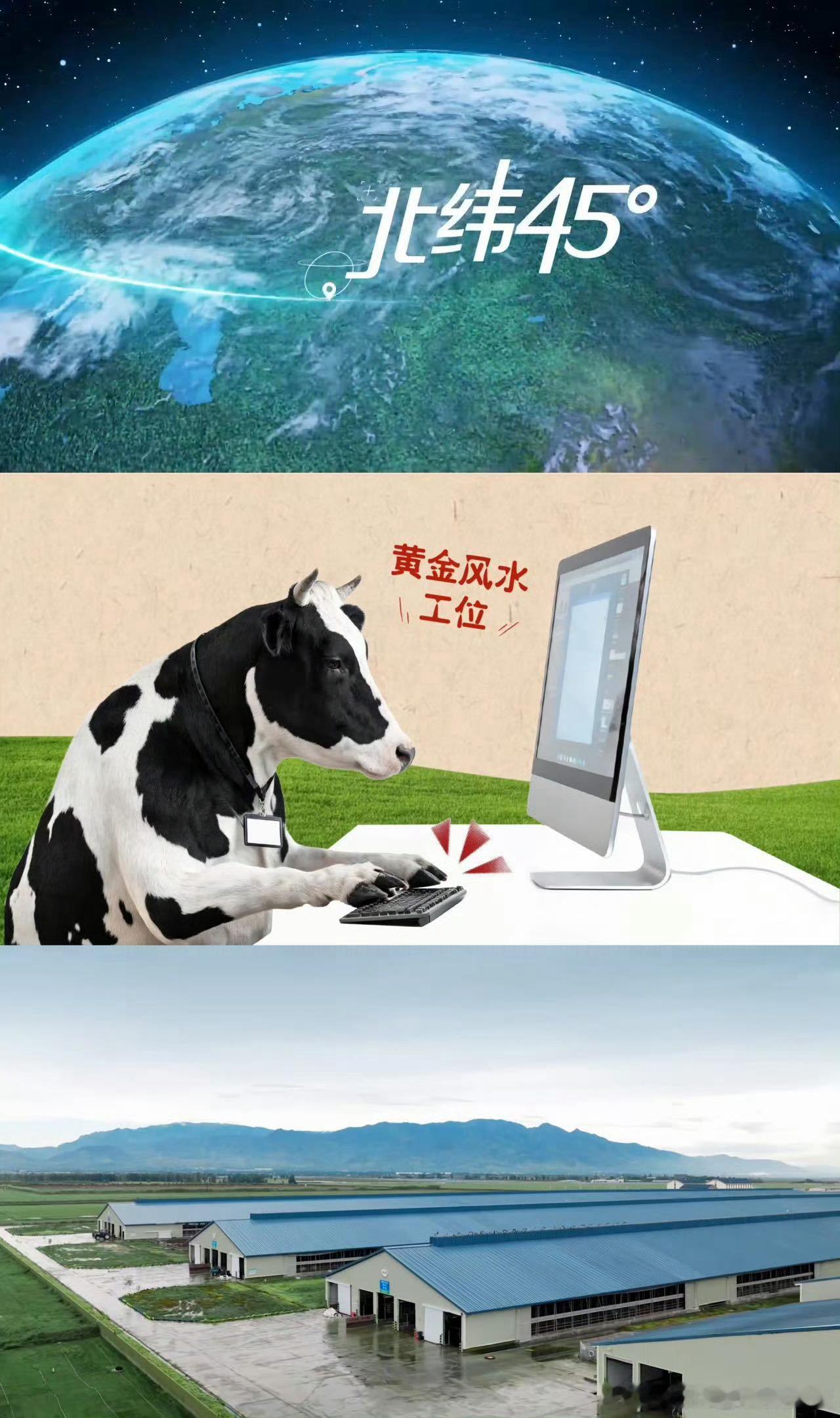 奶牛进厂居然这么严格全球不到三成奶牛能拿到offer 万万没想到奶牛进厂门槛这么