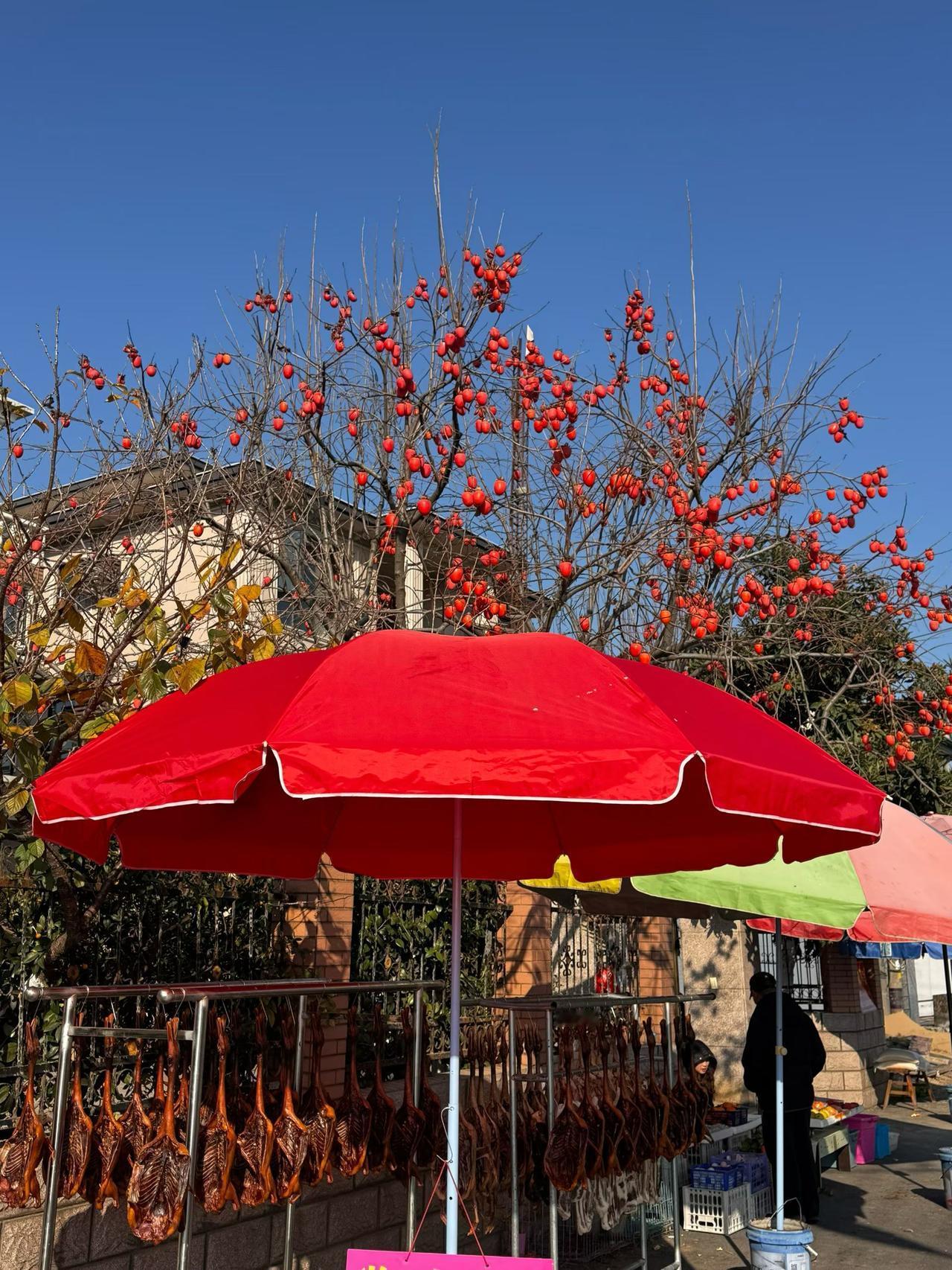 周末的收获（同事拍照）。