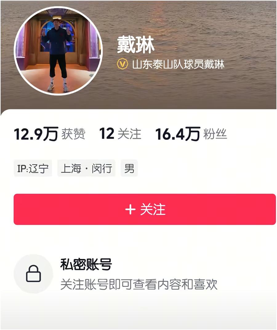 是“金元足球”时代的受益者，职业生涯收入至少也得千万级别了。戴琳自退役以来多起债