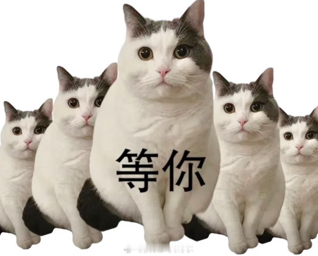 #晓华说自己还没学会剪女发#姐慢慢学，我等你，反正我年底会回湖南[害羞]现在能听