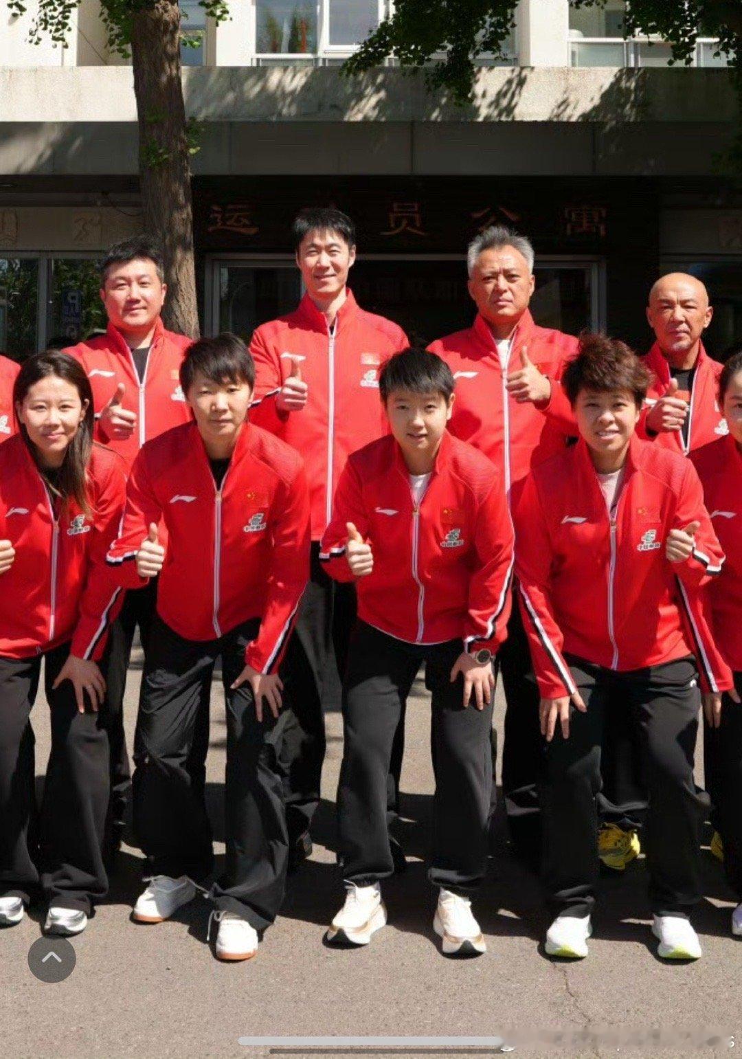 最帅气的飘逸小猫