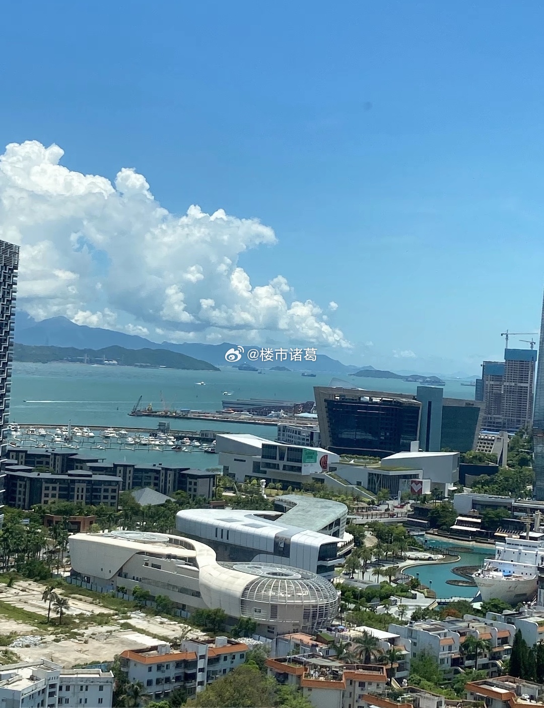 深圳业主：蛇口一个老小区，每天睁开眼睛就是这种景色…… 