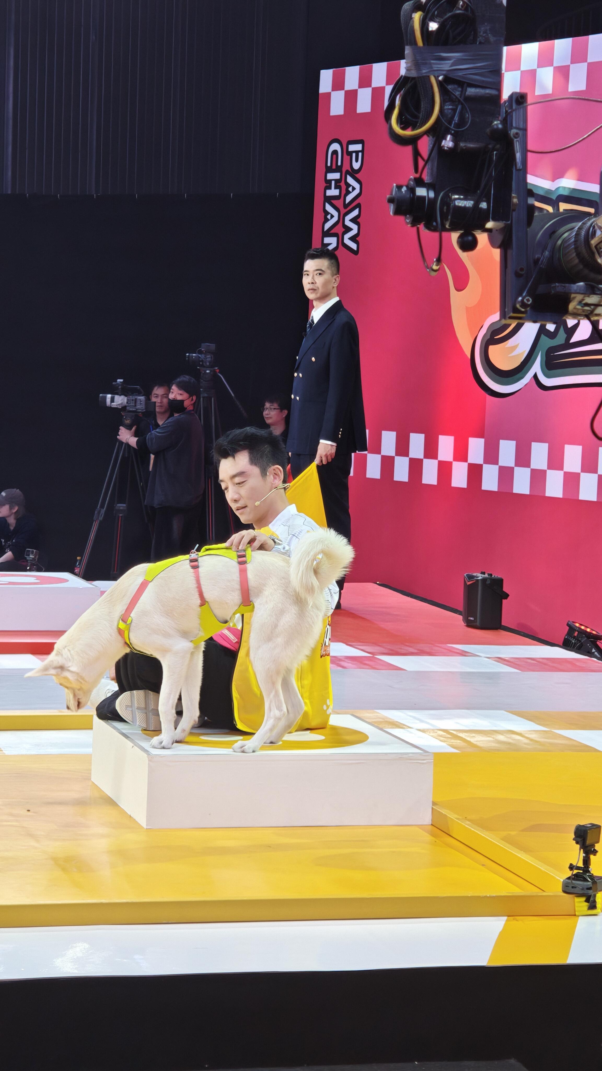 郑恺周也在哄小孩这块有一手北京国际电影节郑恺真的好有耐心，对狗狗对人都很暖！完全