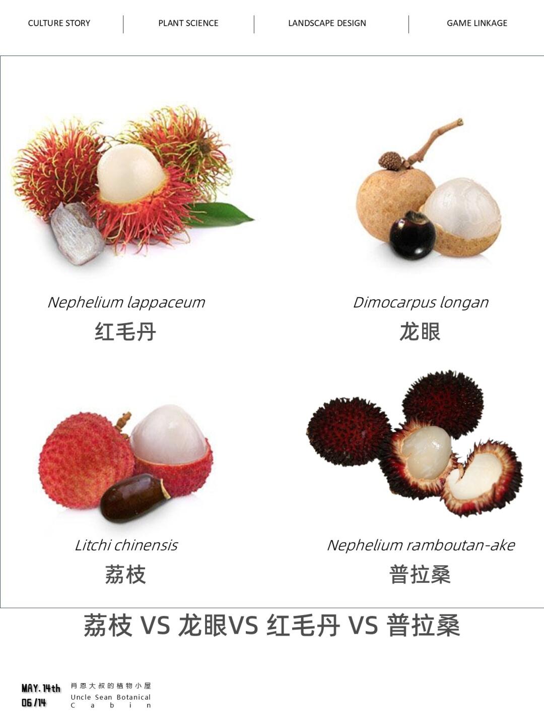 看起来长的像荔枝的水果，最后一种来凑数的