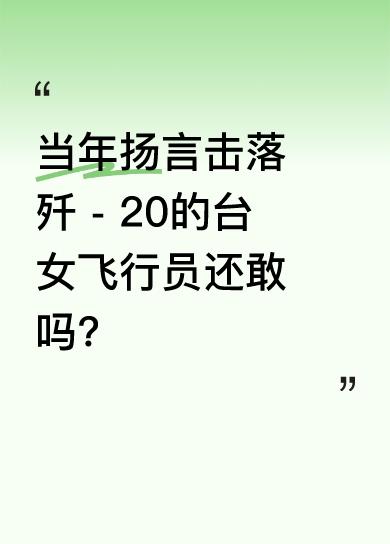 有个叫郭文静的台湾省女飞行员，开F - 16V，曾在伪空军宣传片称长官下令就敢击