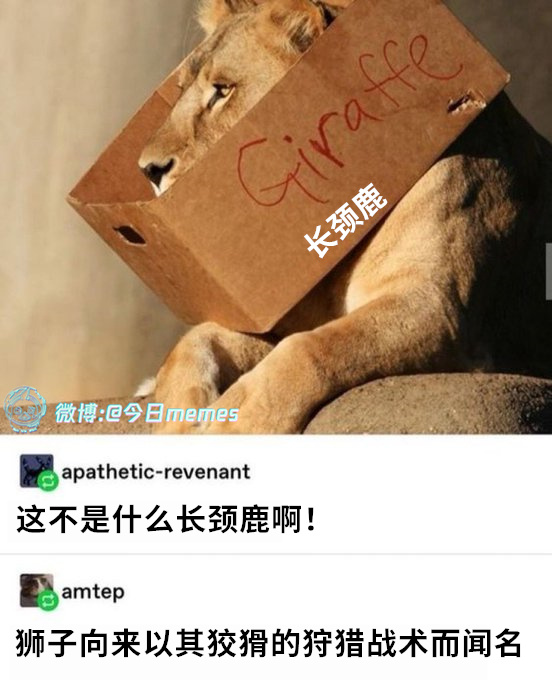 我说呢（9gag） 今日meme[超话]   