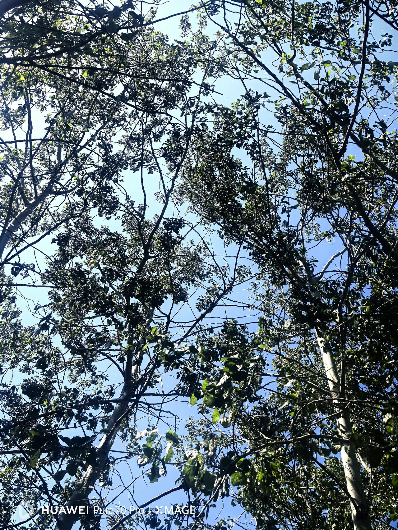 上午打车外出，用微信结账的时候，看到司机师傅的昵称是“万里有云”，一时好奇便问师