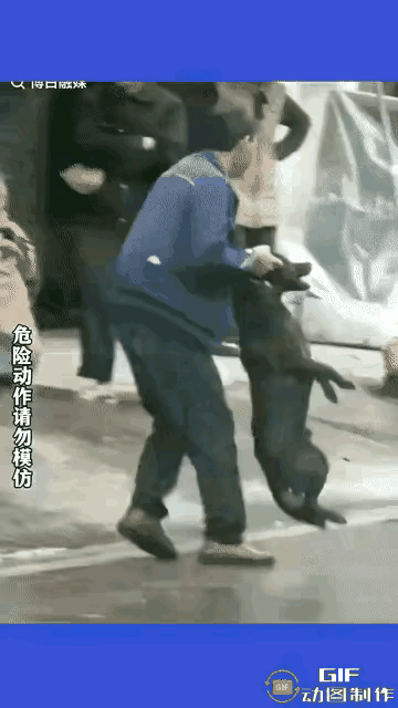 男子一口。男子二话没说，摁住狗头，就是一顿猛揍！大家觉得男子当街打狗的行为过火吗