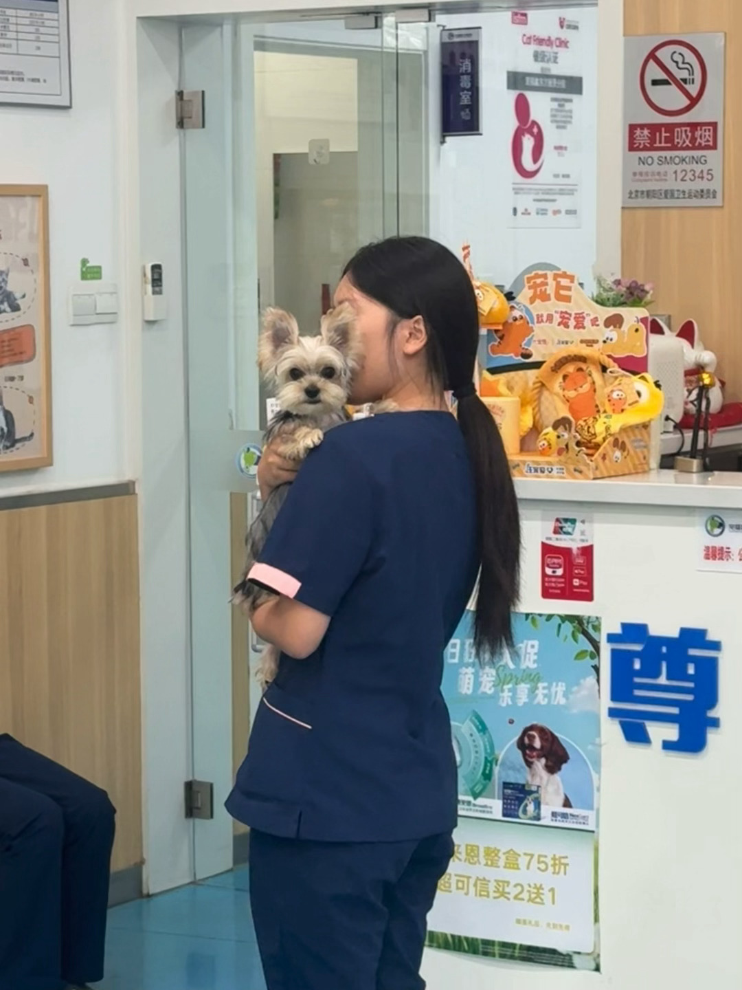 今儿Cooper上学啦～感觉也不太开心呢……约克夏与倪分享 ​​​