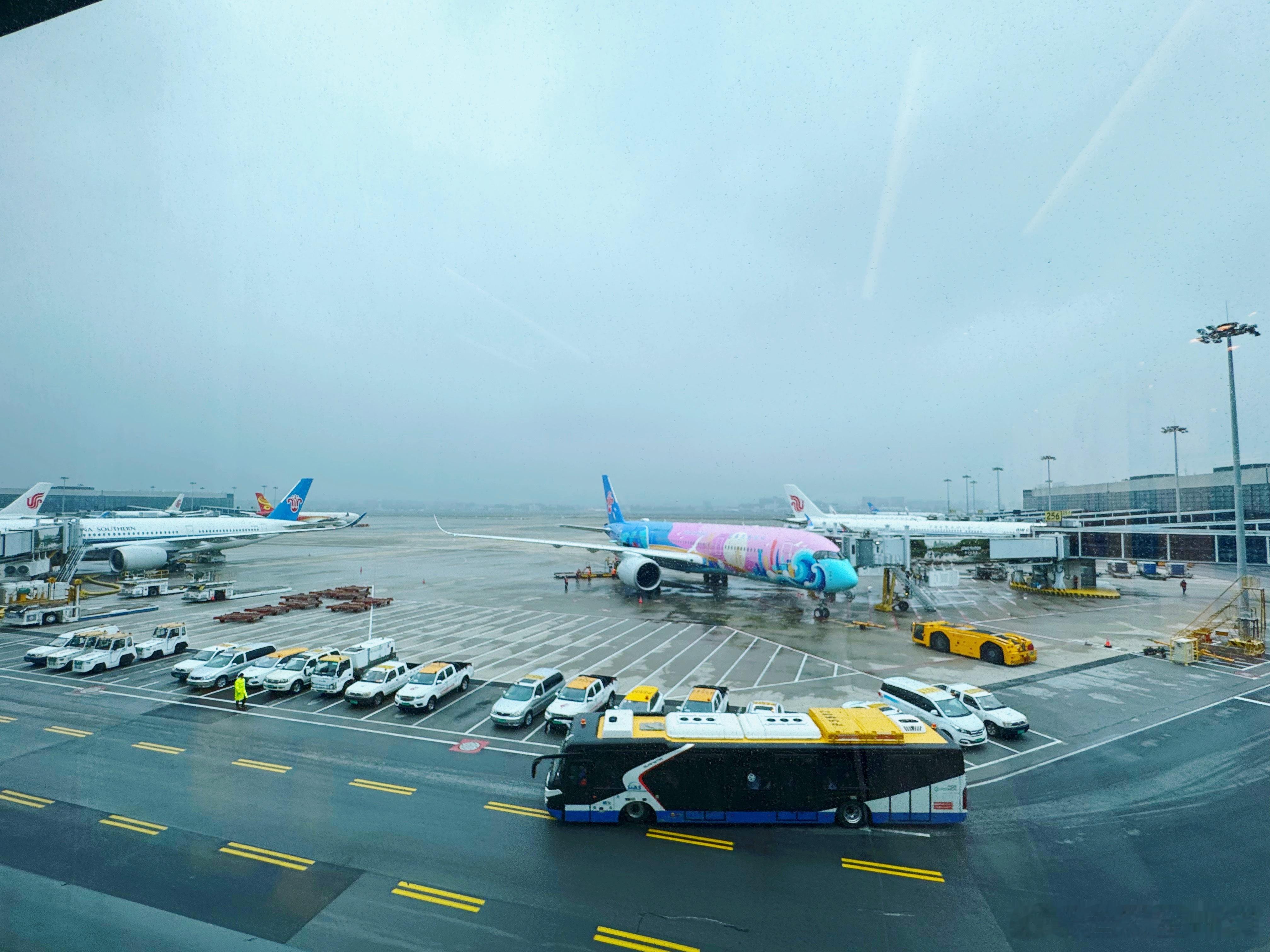 一车亦景  大城市就是好，可以看到这么多宽体机，南航这个彩绘359也好好看啊yt