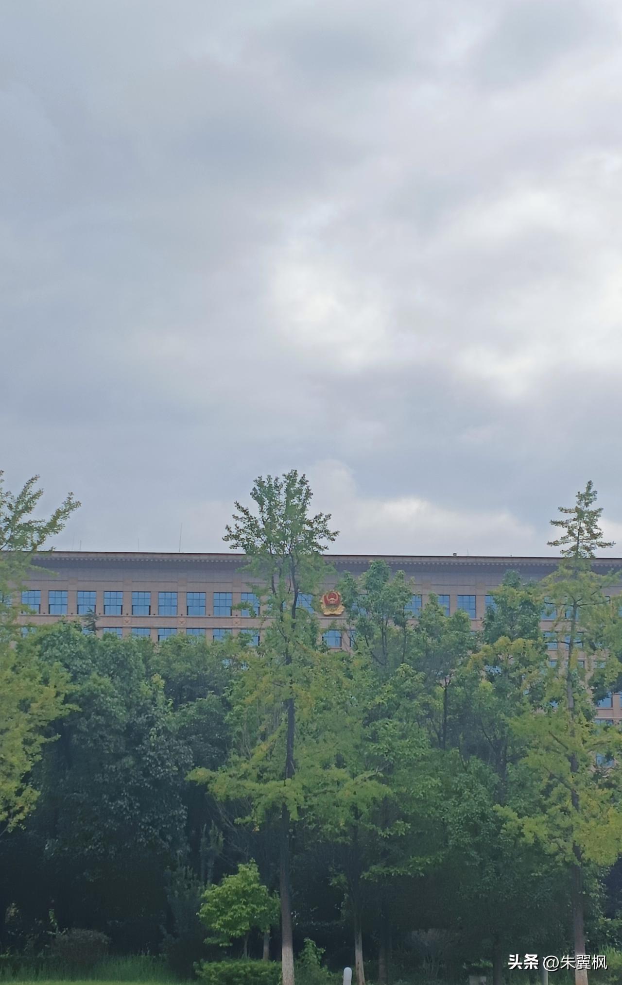 近来陪家人买菜，才发现菜市场里卖菜的摊主，差不多一半以上不是本地人。这让我很惊诧