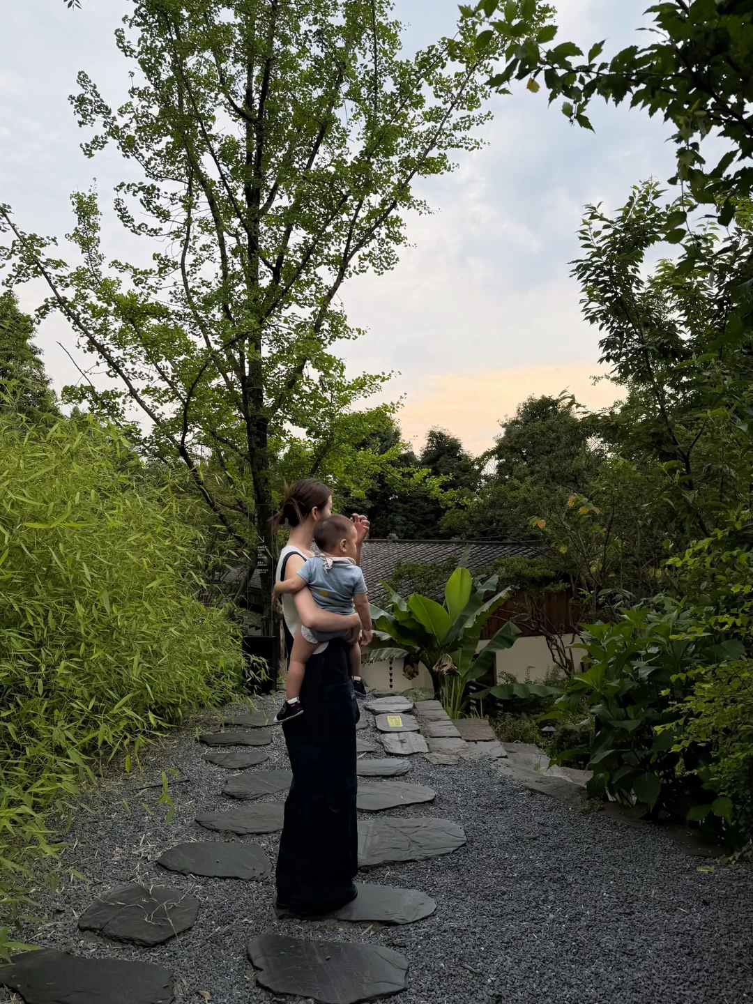 🌳满眼皆是绿