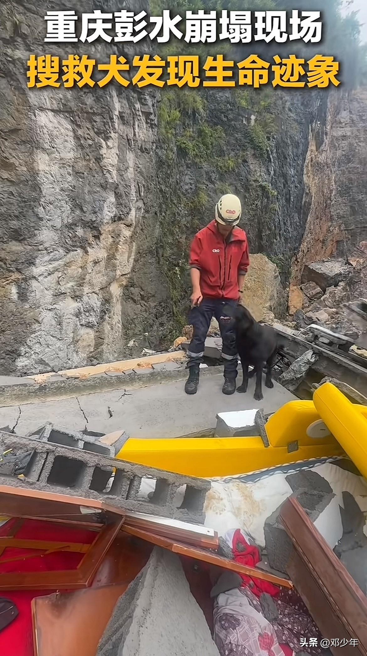 真是好消息，重庆彭水山体垮塌废墟上，一搜救犬发现有生命迹象，她围着搜救人员急得直