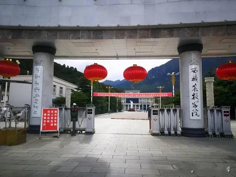 哪有什么“宝藏大学”，一切“捡漏”，不过都是另一种“妥协”。

比如，西藏农牧大