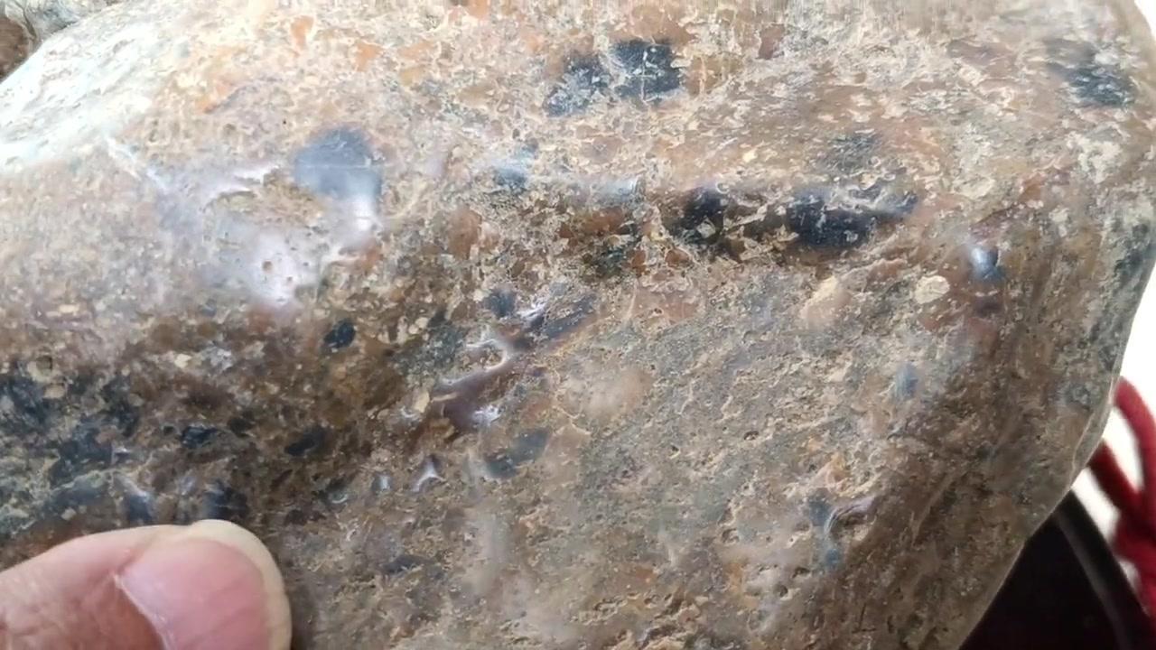 去老河床捡石，意外发现一块纹理像蓝莓的石头，被动磁性很强，冲肌溶溶的痕迹也很明显