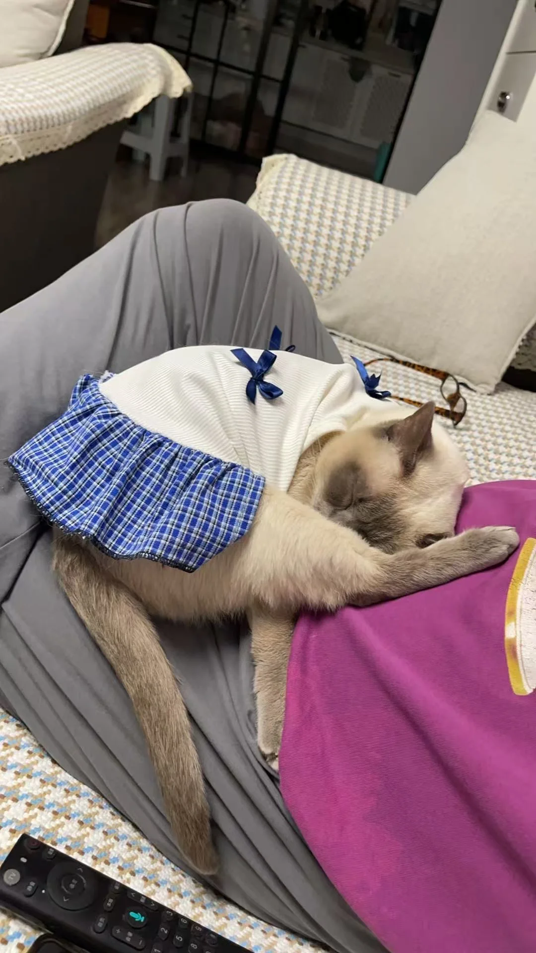 趴在姥爷身上的宝宝