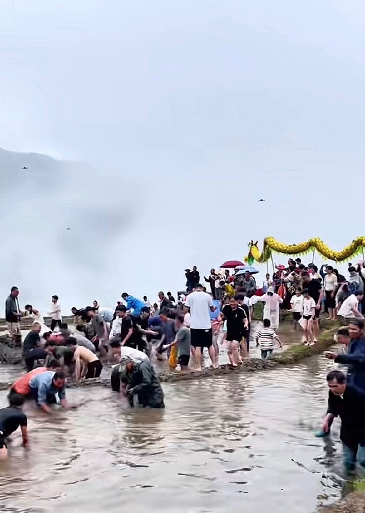 桂林龙脊梯田开耕节桂林龙脊开耕节5月2日—3日（两天），广西桂林龙脊梯田开耕节！