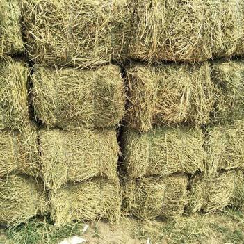 上联：古木已枯残景在，
下联：新草成薪清香留。