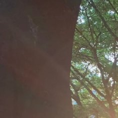 #每日一善[超话]#心中不可少善，行事不可无善。人前不为恶易，独处不为恶难。任性