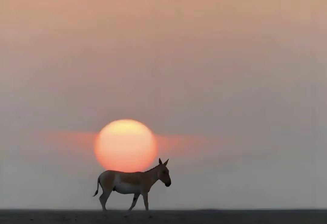 时光若温柔，愿你深深懂得；岁月若凉薄，愿你淡淡释怀……