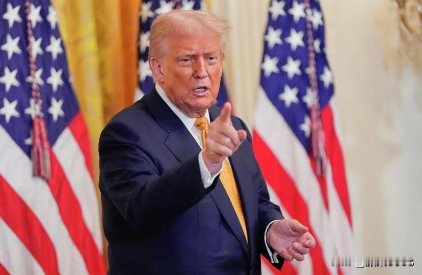 国际原子能机构总干事：美伊两国就核计划达成的任何未经核查的协议都只是一纸空文
