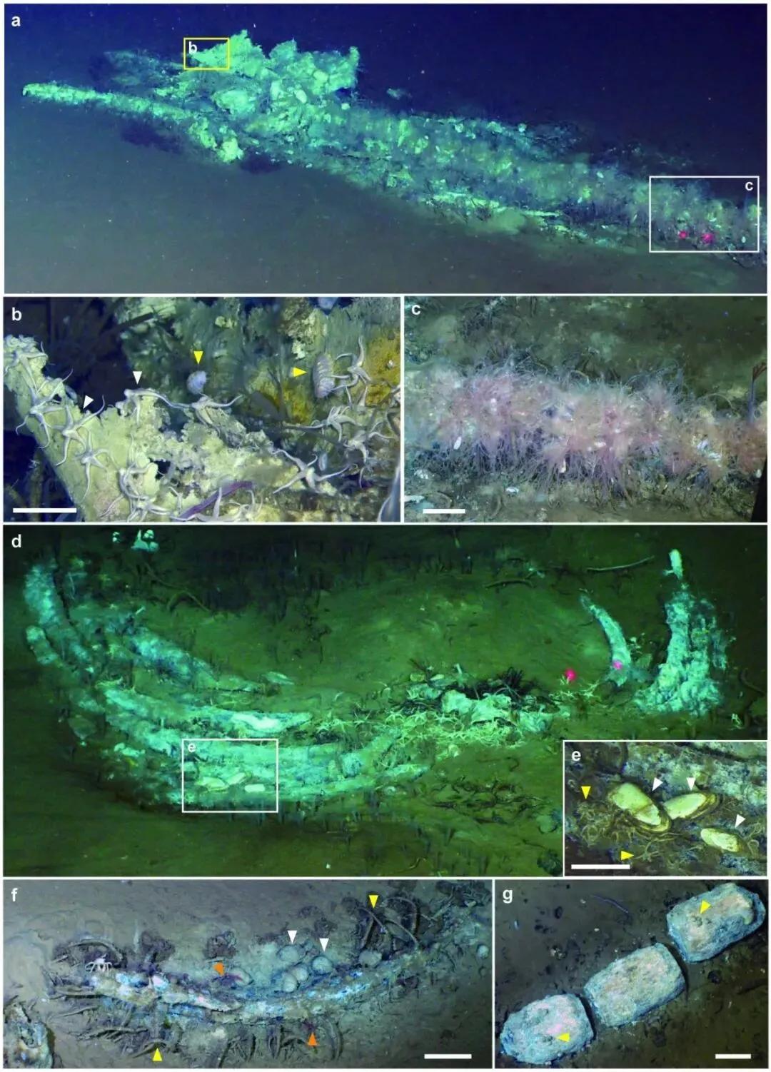 中国潜水器在印度洋7000米深的海底，沿一条1200公里长的裂谷，找到了450多